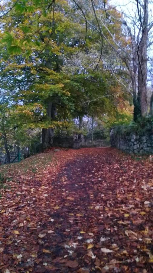 Mill Lane Apartment Buncrana Bagian luar foto
